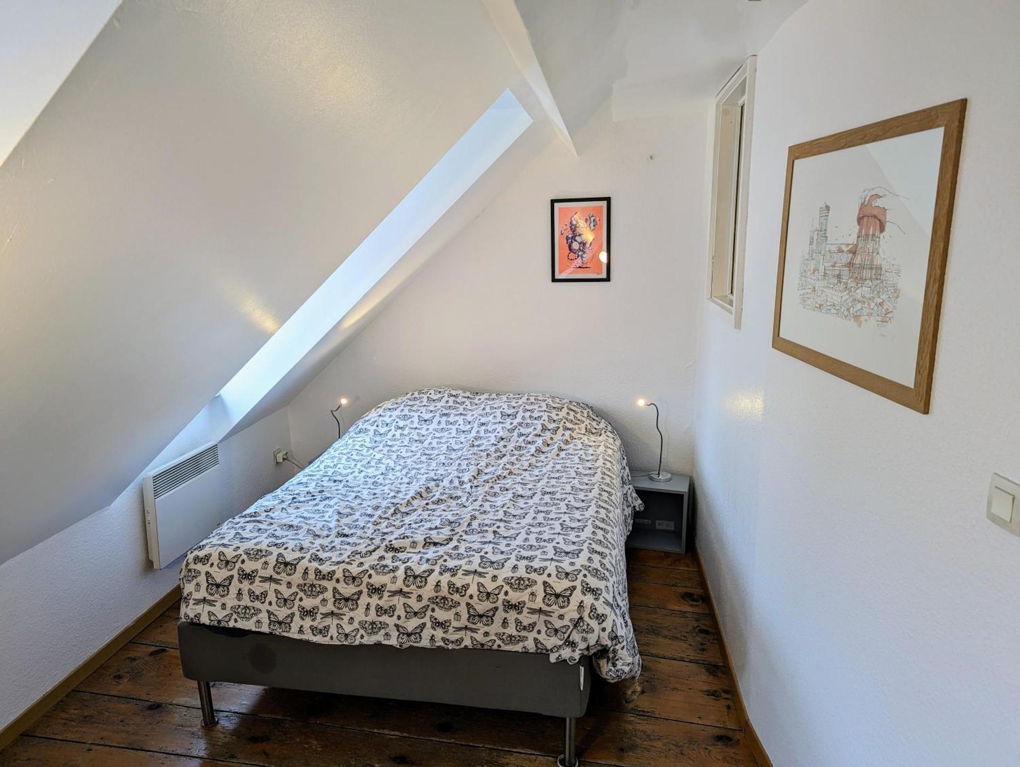 Appartement Des Serruriers Straßburg Exterior foto