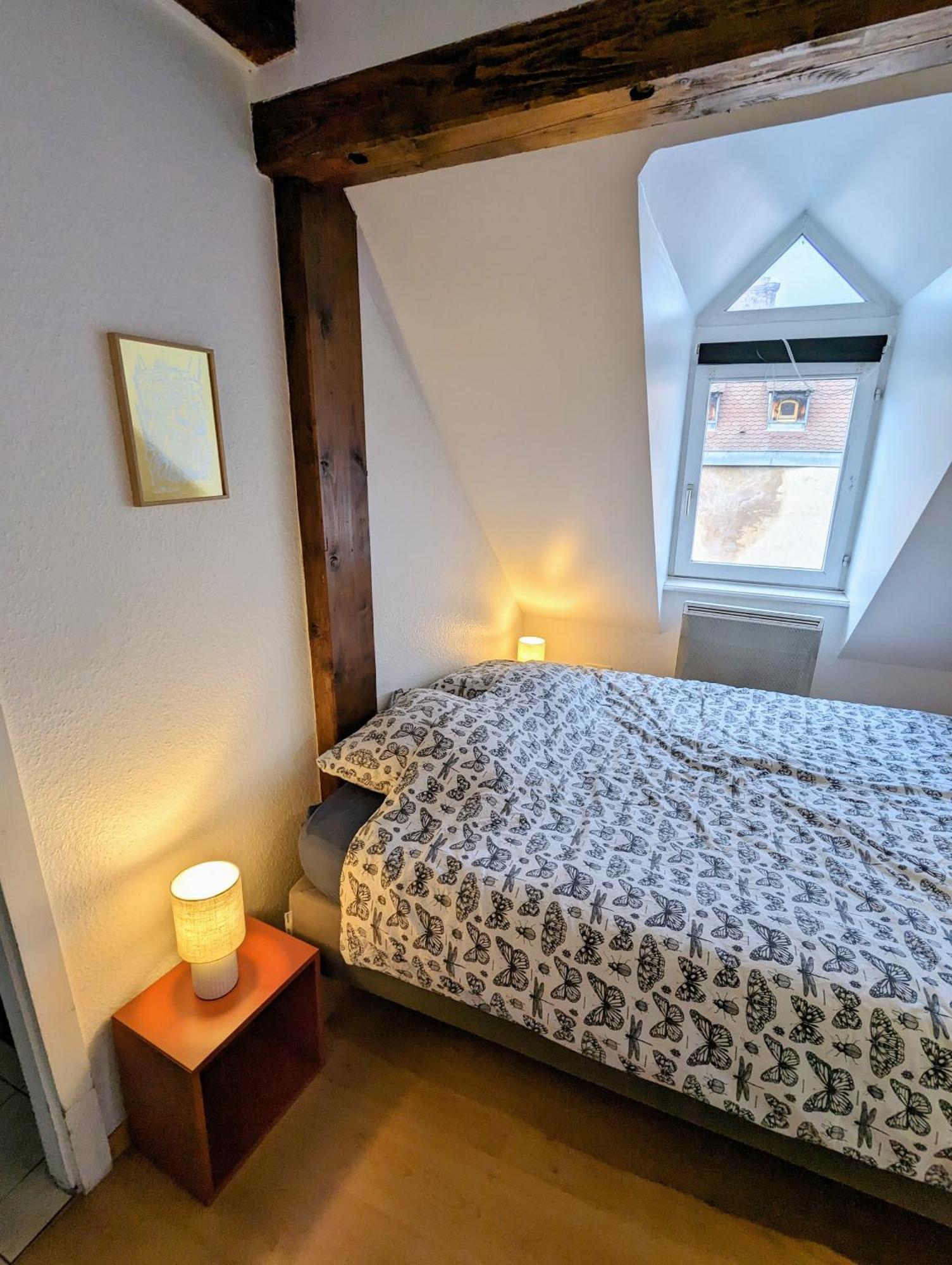 Appartement Des Serruriers Straßburg Exterior foto